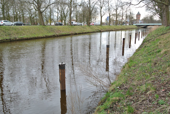 stalen-meerpalen-in-het-water-voor-aanlegplaatsen-roeiboten-in-breda-02